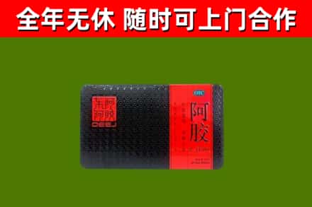 井研县回收阿胶