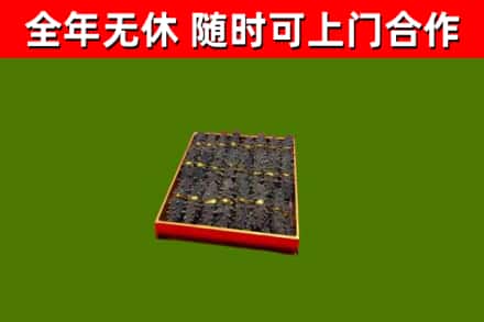 井研县回收海参